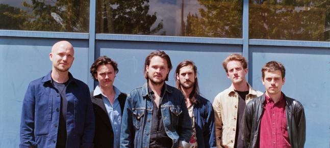 The Calicos