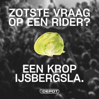 Zotste vraag op een rider? Een krop ijsbergsla